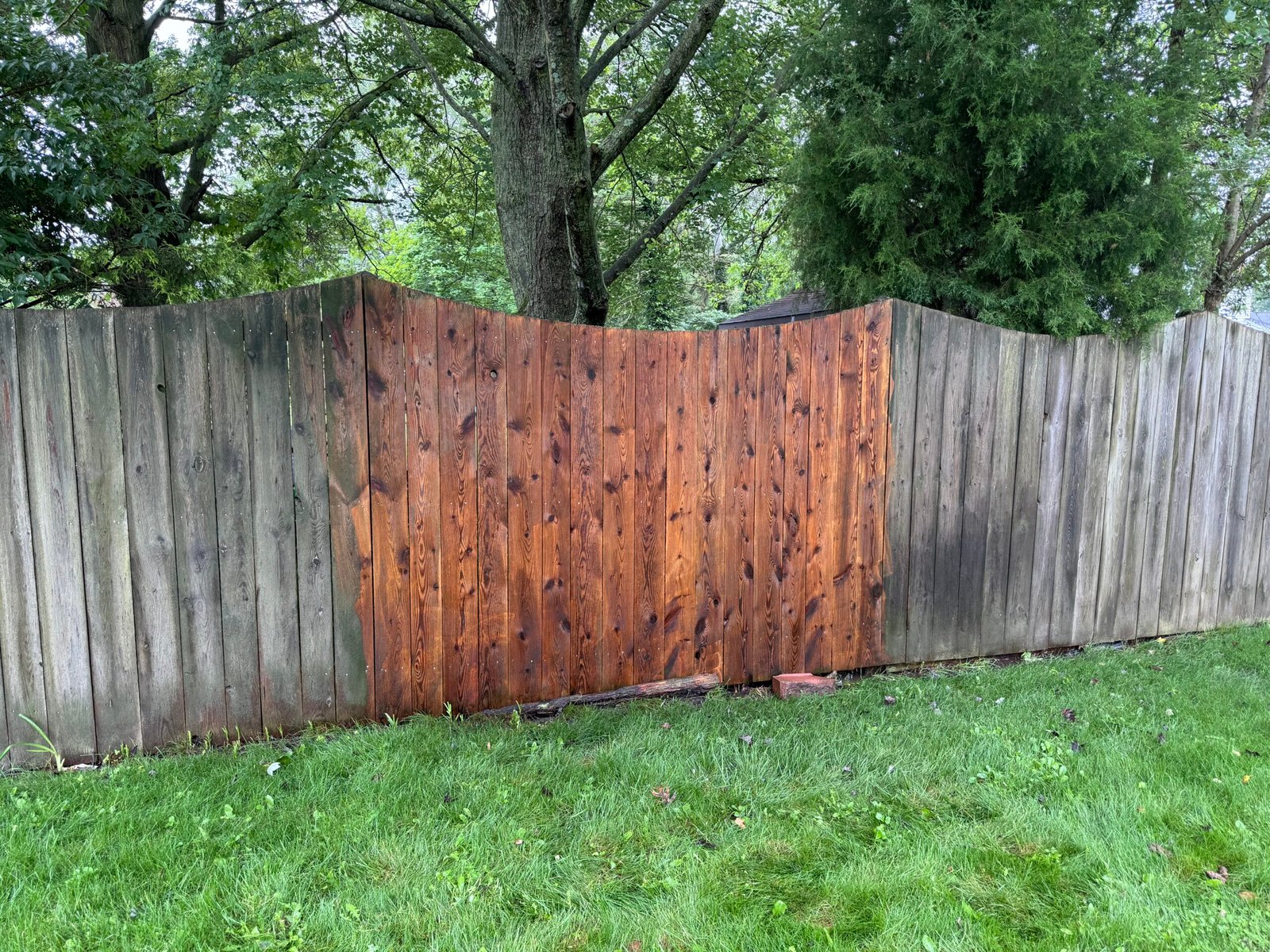 Fence_After